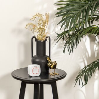 Byron DBY-24721 draadloze deurbel set volledig op batterijen wit ontvanger op tafel