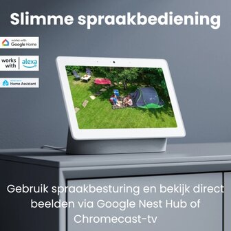 Reolink Google Nest Hub
