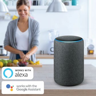 Philips WelcomeEye AddScreen 7 inch scherm Google Assistant Amazon Alexa