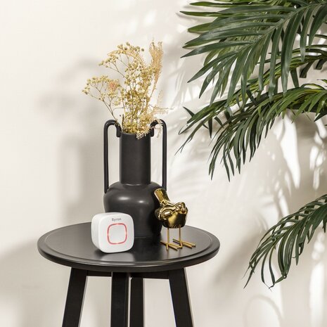 Byron DBY-24721 draadloze deurbel set volledig op batterijen wit ontvanger op tafel