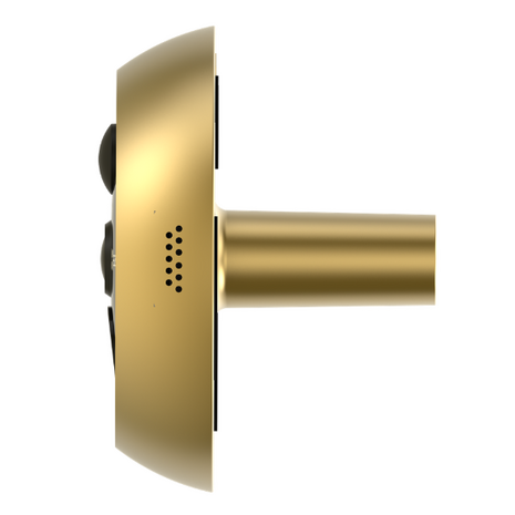 Ezviz DP2C draadloze digitale deurspion met camera en scherm goud