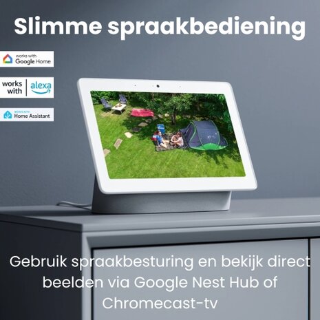 Reolink Google Nest Hub